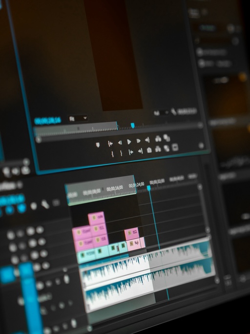 Dolphin Video Productions icon